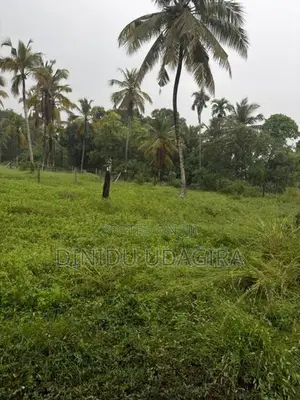 Land Sale මිනුවන්ගොඩ