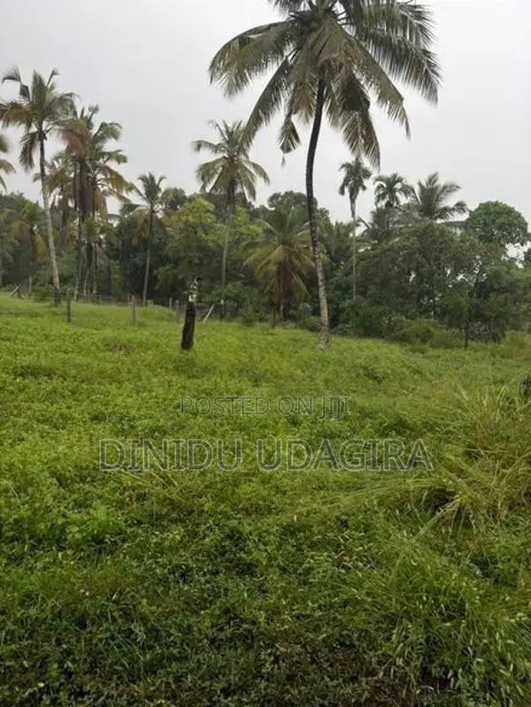 Land Sale මිනුවන්ගොඩ