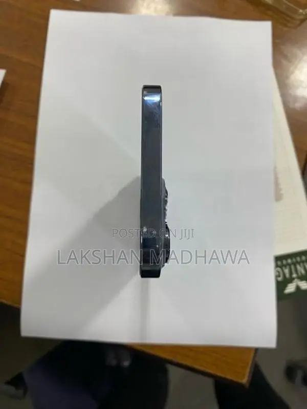 Apple iPhone 13 Pro Max (Used)