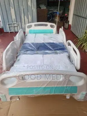 Five Function Electric Beds with Sanitory