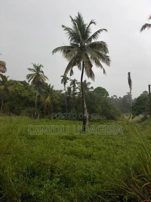 Land Sale මිනුවන්ගොඩ
