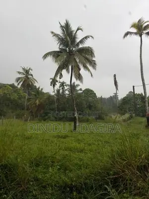 Land Sale මිනුවන්ගොඩ