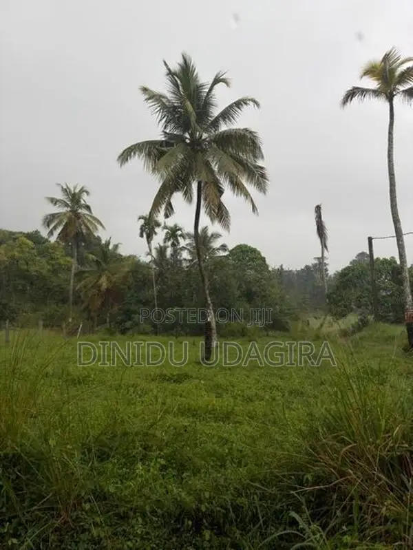 Land Sale මිනුවන්ගොඩ