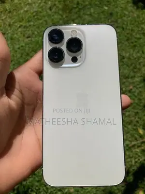 Apple iPhone 13 Pro (Used)