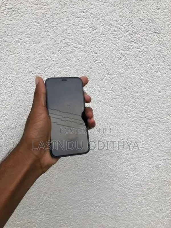 Apple iPhone 12 mini (Used)