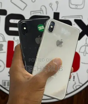 Apple iPhone X 256GB (Used)