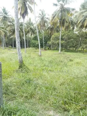 Valuable Land for Sale in Divulapitiya