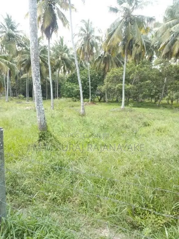 Valuable Land for Sale in Divulapitiya