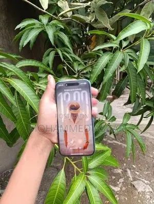 Apple iPhone 16 (Used)