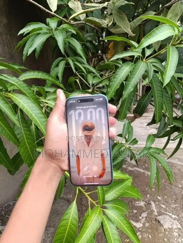 Apple iPhone 16 (Used)