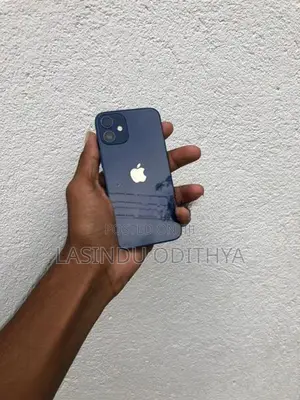 Apple iPhone 12 mini (Used)