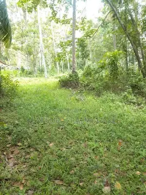 Valuable Land for Sale in Divulapitiya