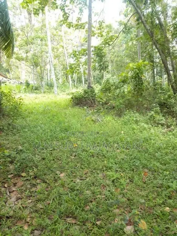 Valuable Land for Sale in Divulapitiya