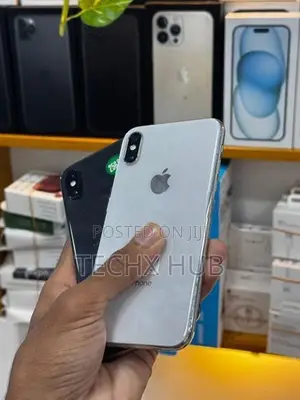Apple iPhone X 256GB (Used)