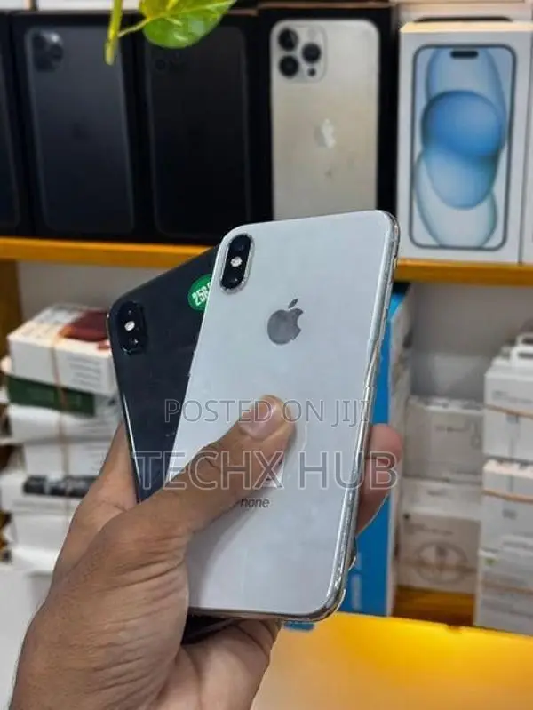Apple iPhone X 256GB (Used)