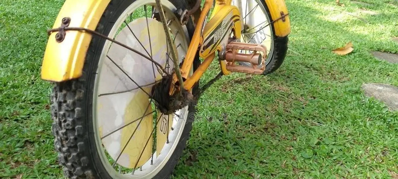 Kids Bicycle