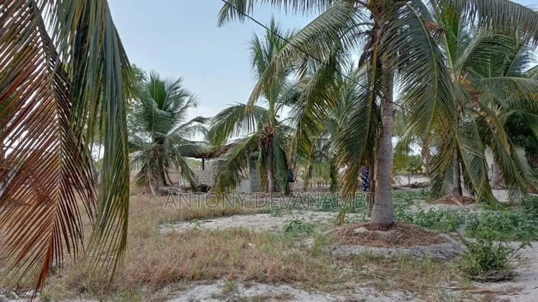 2.75 Acres Valuable Land with House for Sale Mayilampaveli