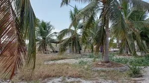 2.75 Acres Valuable Land with House for Sale Mayilampaveli