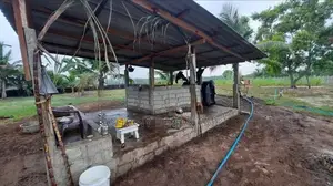 2.75 Acres Valuable Land with House for Sale Mayilampaveli