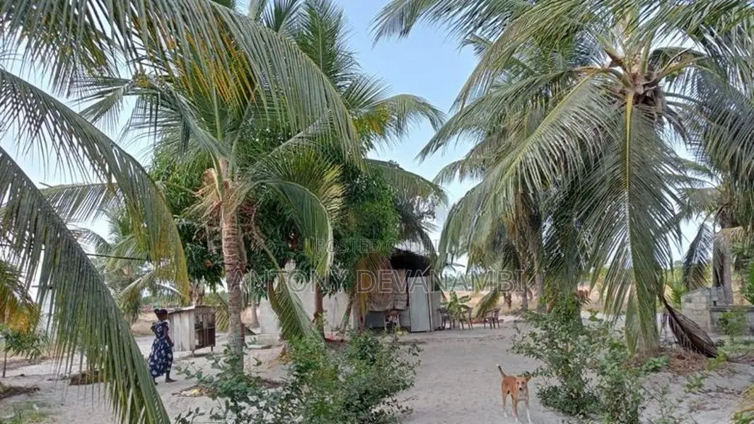 2.75 Acres Valuable Land with House for Sale Mayilampaveli