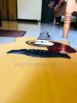 Swift Horse Guitar