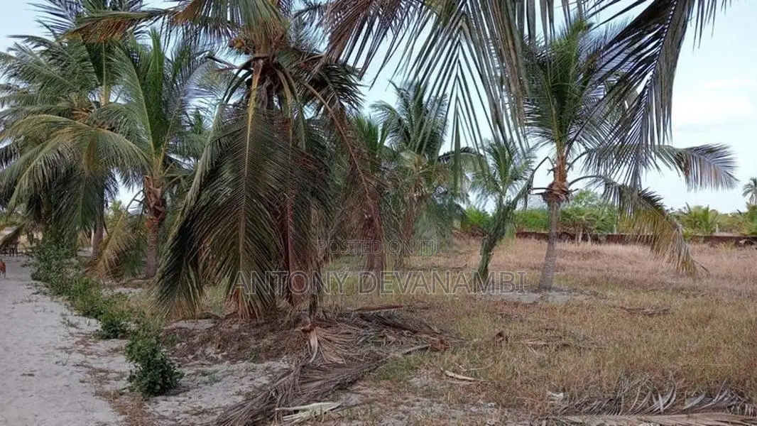 2.75 Acres Valuable Land with House for Sale Mayilampaveli