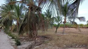 2.75 Acres Valuable Land with House for Sale Mayilampaveli