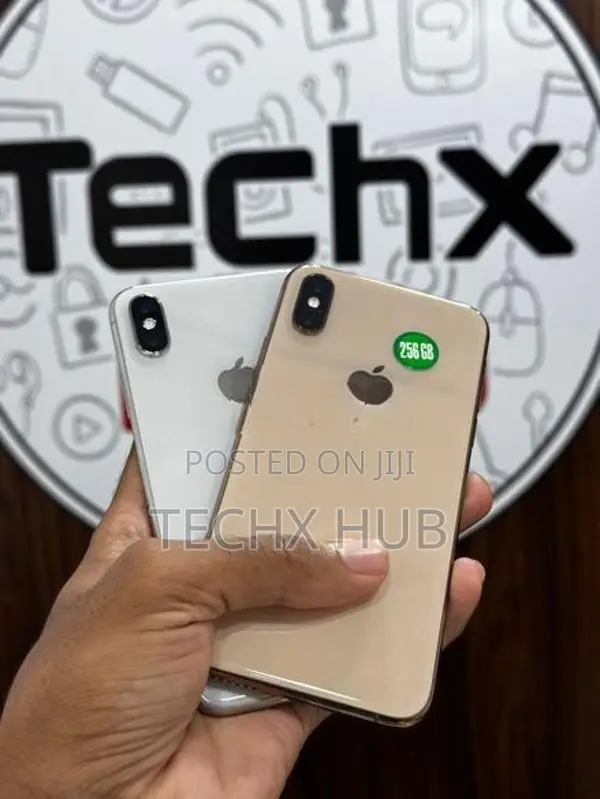 Apple iPhone XS 256GB (Used)