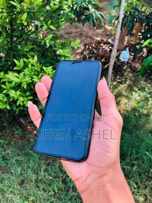 Apple iPhone 11 Pro 256GB (Used)