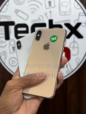 Apple iPhone XS 256GB (Used)