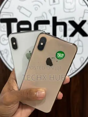 Apple iPhone XS 256GB (Used)