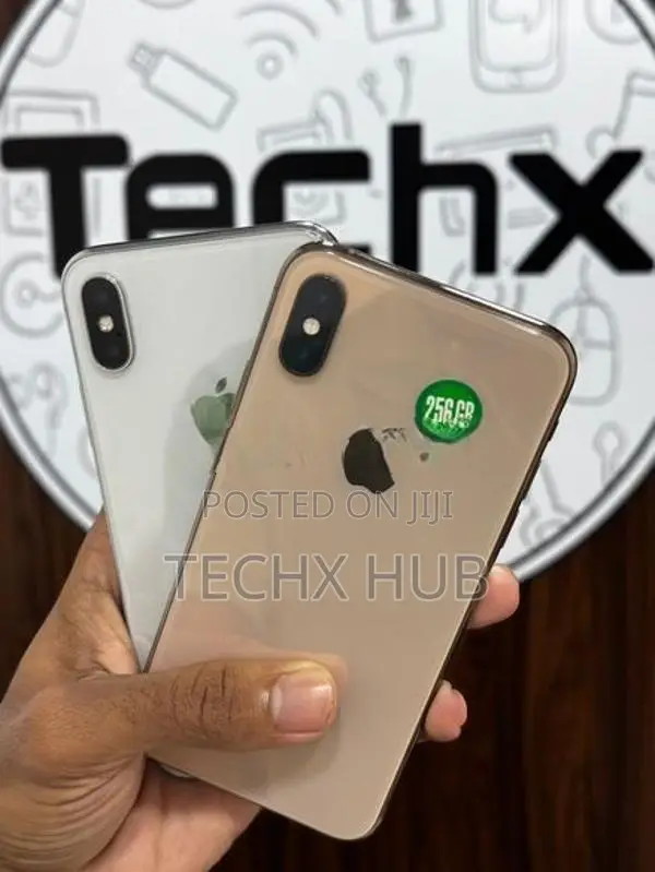 Apple iPhone XS 256GB (Used)