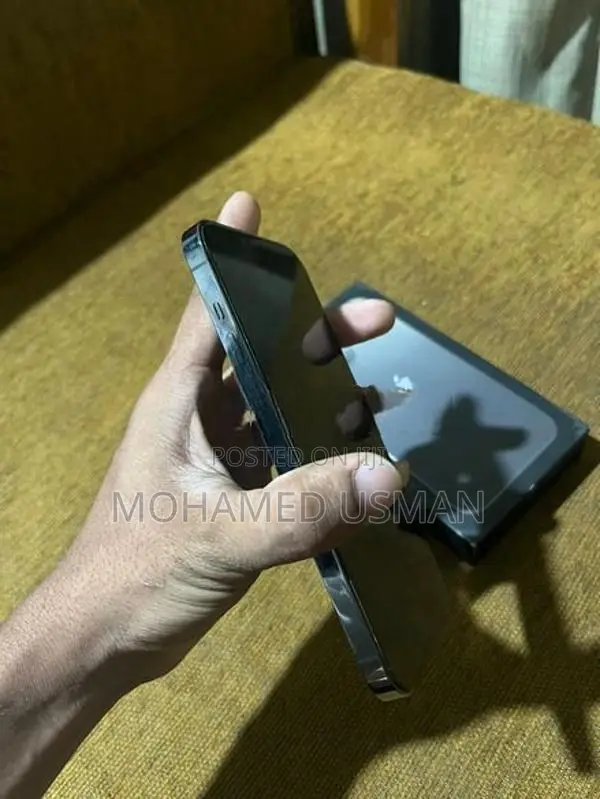 Apple iPhone 13 Pro Max (Used)