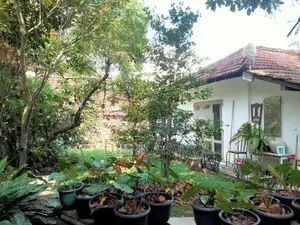 Super Land for Sale in Ethul Kotte