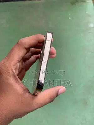Apple iPhone 12 Pro Max (Used)