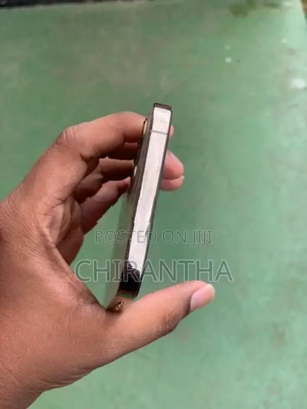 Apple iPhone 12 Pro Max (Used)