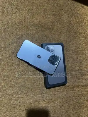 Apple iPhone 13 Pro Max (Used)