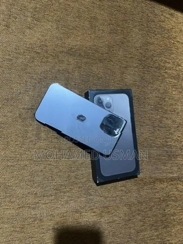 Apple iPhone 13 Pro Max (Used)