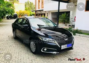 3D Carpet Set for Toyota Premio