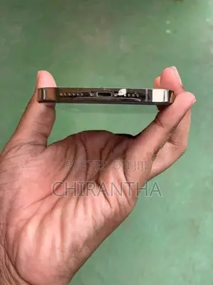 Apple iPhone 12 Pro Max (Used)