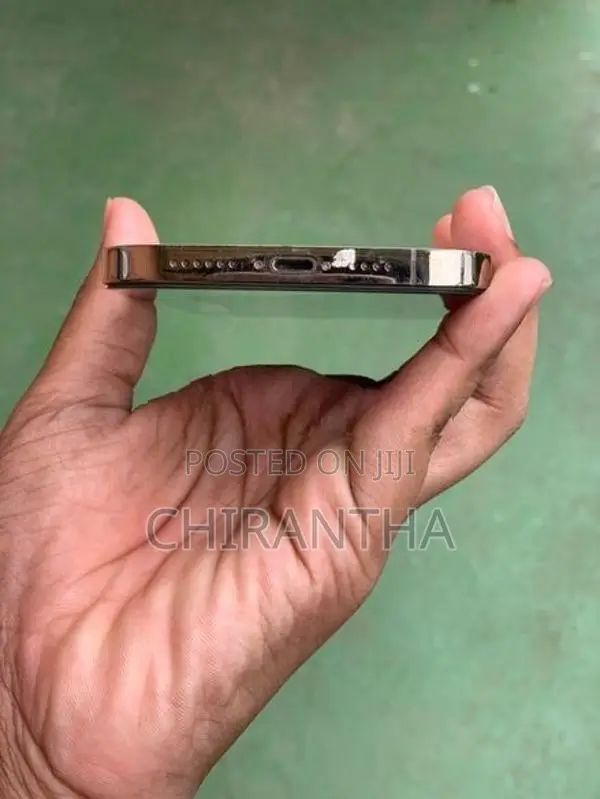 Apple iPhone 12 Pro Max (Used)