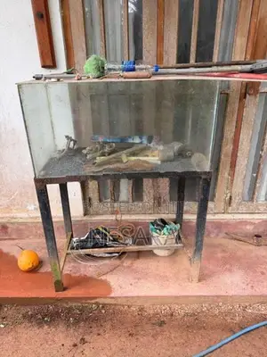 Fish Tank with Stand