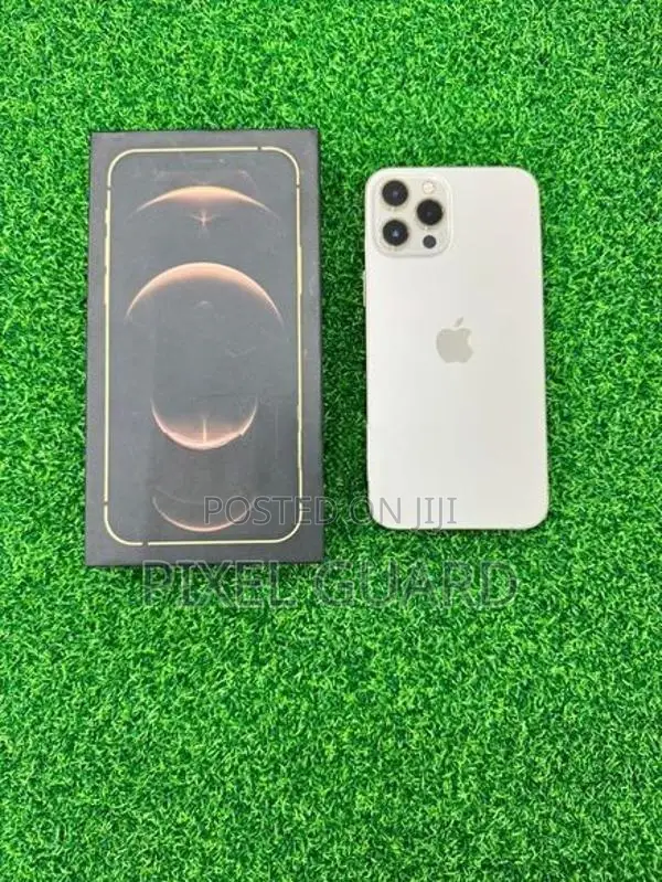 Apple iPhone 12 Pro Max (Used)