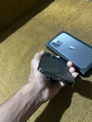 Apple iPhone 13 Pro Max (Used)