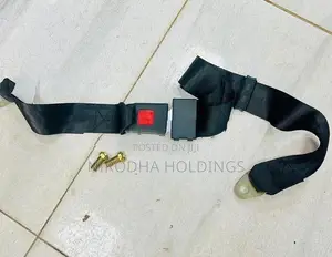Universal Seat Belt for Vans