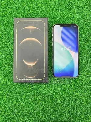Apple iPhone 12 Pro Max (Used)