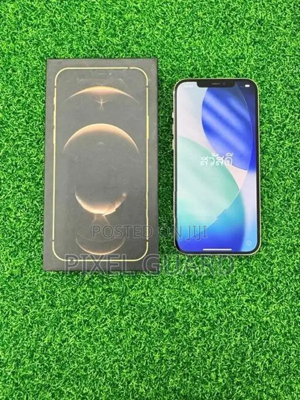 Apple iPhone 12 Pro Max (Used)