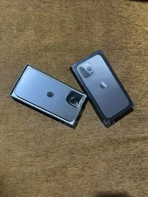 Apple iPhone 13 Pro Max (Used)