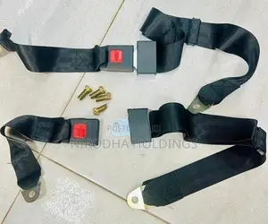 Universal Seat Belt for Vans
