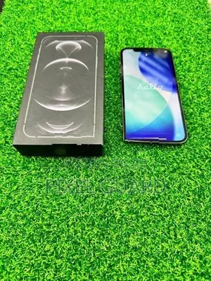 Apple iPhone 12 Pro Max (Used)